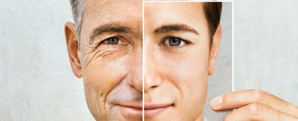 Aging Causes and Anti-Aging Solutions for Men